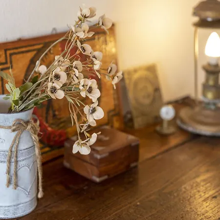 Ginepro By Interhome Apartment