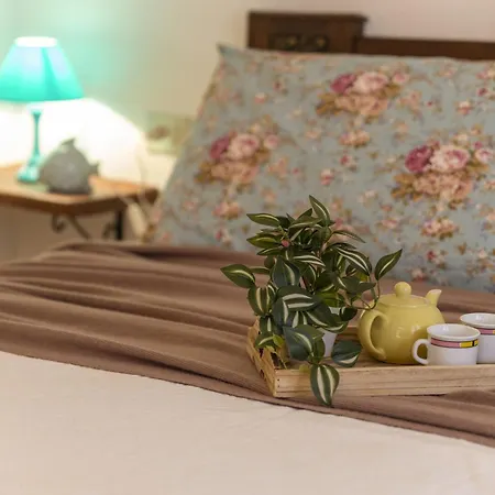 Ginepro By Interhome Apartmán