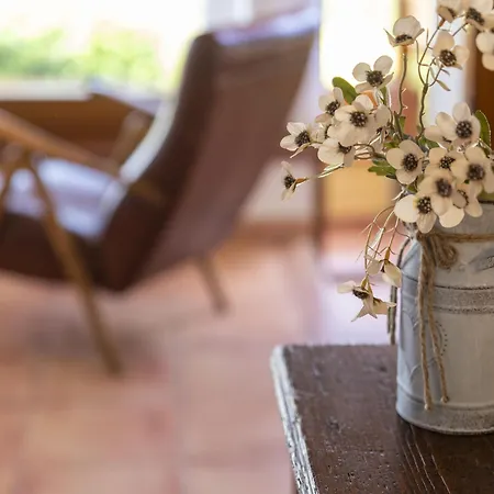 Ginepro By Interhome * Costa Paradiso