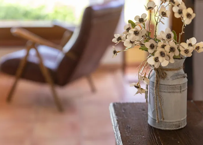 Ginepro By Interhome * Costa Paradiso