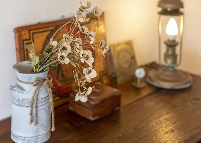 Ginepro By Interhome Apartamento